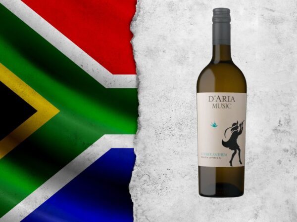 D'Aria Summer Anthem 2025